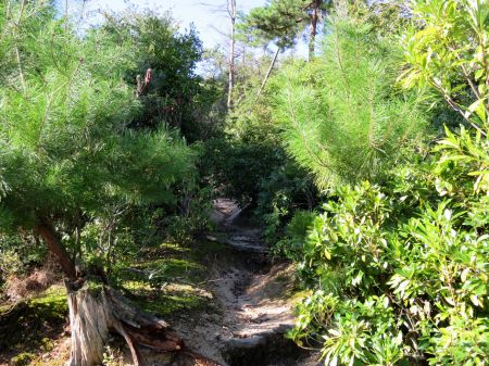 朝日観音コース