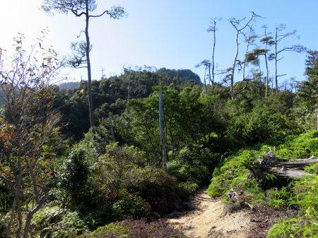 朝日観音コース