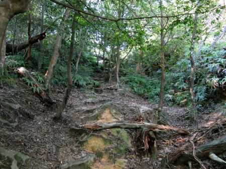 朝日観音コース