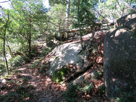 朝日観音コース