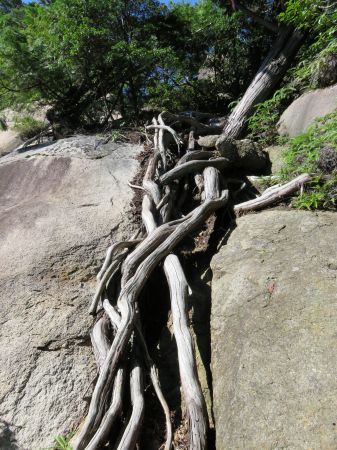 朝日観音コース