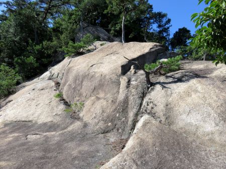 朝日観音コース