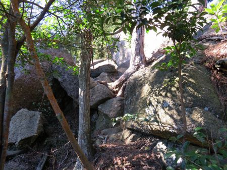 朝日観音コース