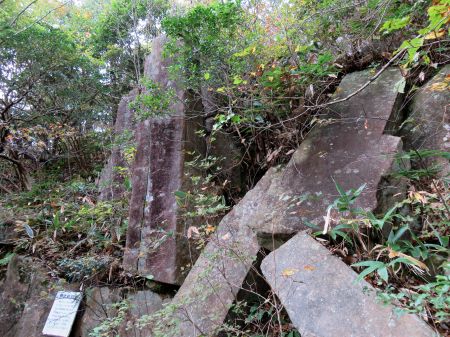 大石柱(神武岩)