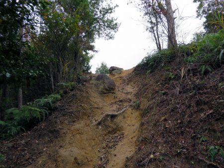 銅剣銅鐸出土地分岐