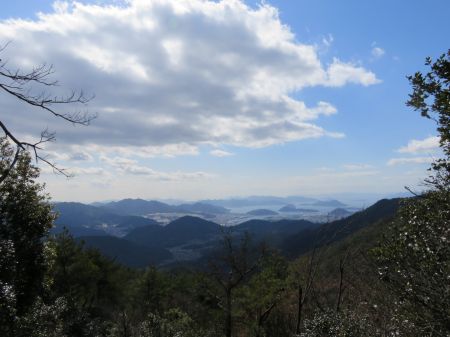 藤ヶ丸山