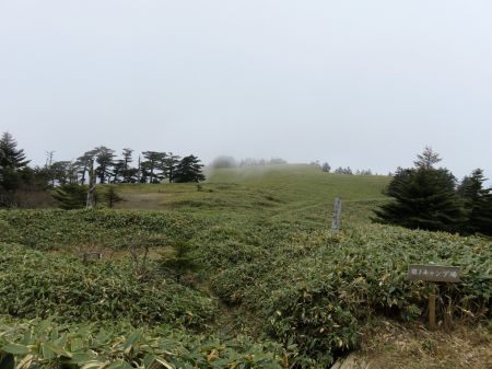 第一キャンプ場