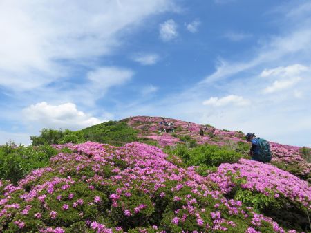 今年は晴天＋満開！