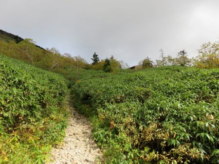 甚之助避難小屋