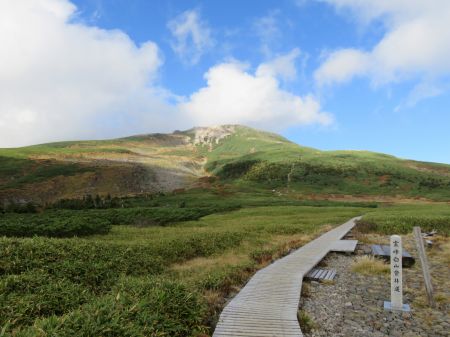 やっと晴れた！