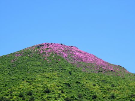 山肌を染める程…