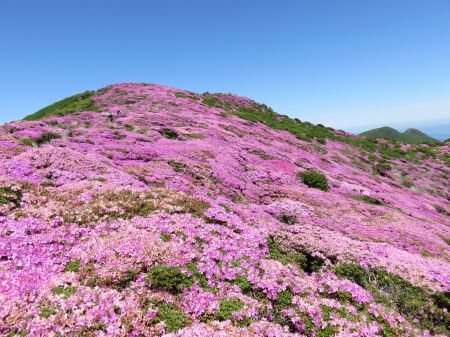 満開の山頂周辺！