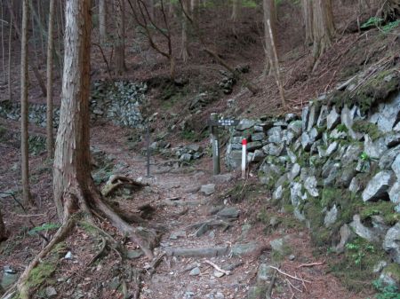 柳谷、馬の背分岐