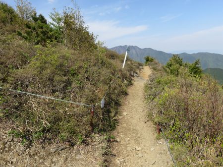 ツガザクラ保護区