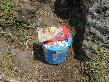 カレーメシ＆とん汁