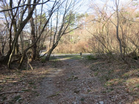 青少年交流の家