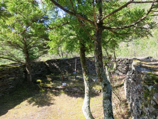 いつもは遠望の蘭塔婆