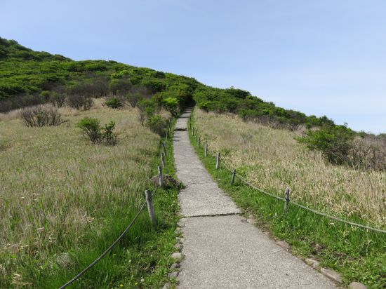 コンクリート道