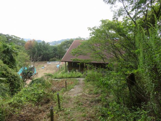 ウォーキングセンター