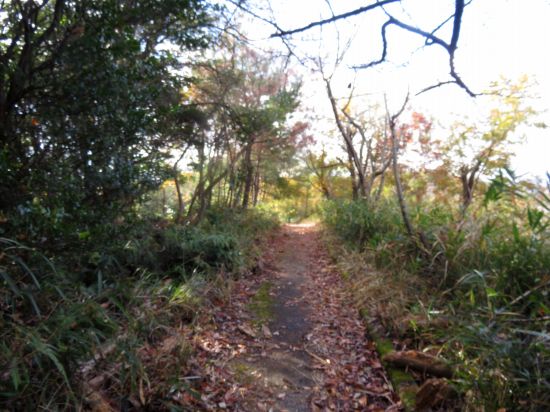 コンクリート道