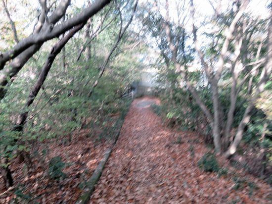 コンクリート道