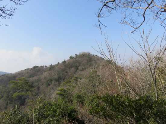 曽場ヶ城山