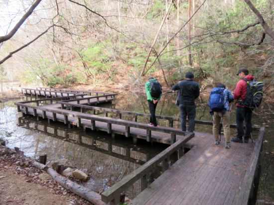 モリアオガエルの池