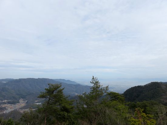 大野権現山
