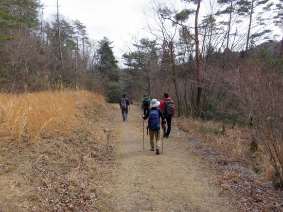 おおの自然観察の森