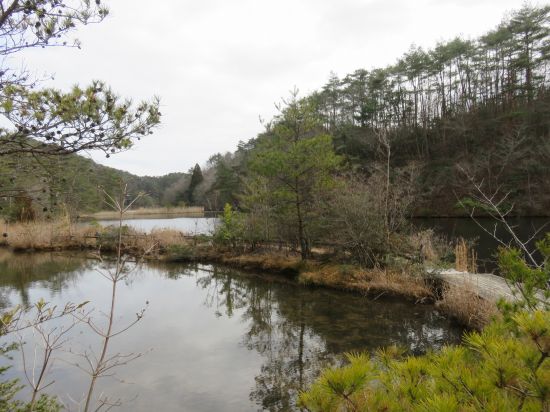 ベニマンサク湖