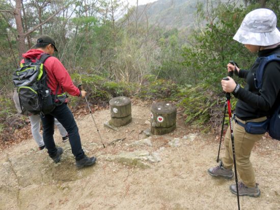 フクロウの椅子