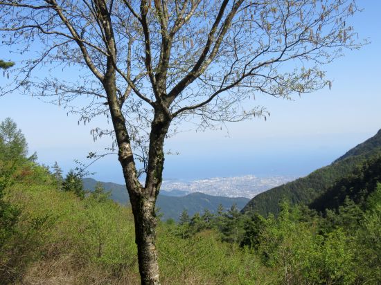 銅山峰ヒュッテ