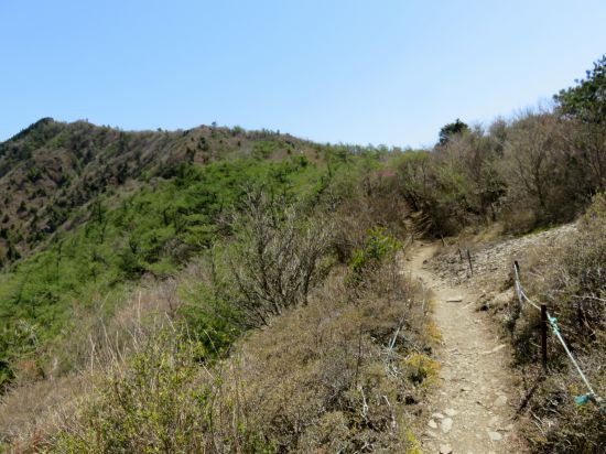 ツガザクラ保護区