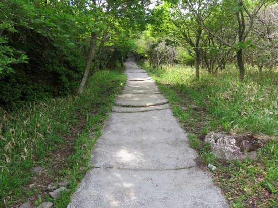 コンクリート道