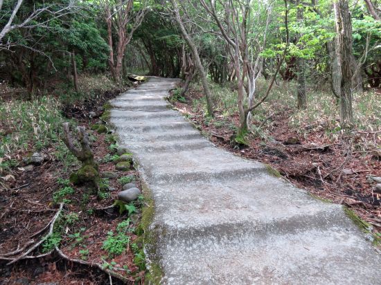 コンクリート道