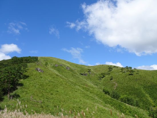 林間コース東屋より