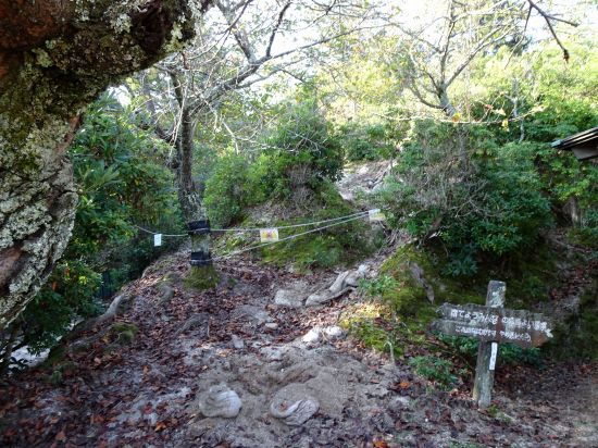 朝日観音コース