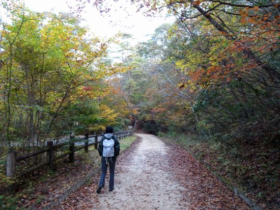 おおの自然観察の森