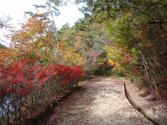 おおの自然観察の森