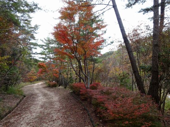 おおの自然観察の森