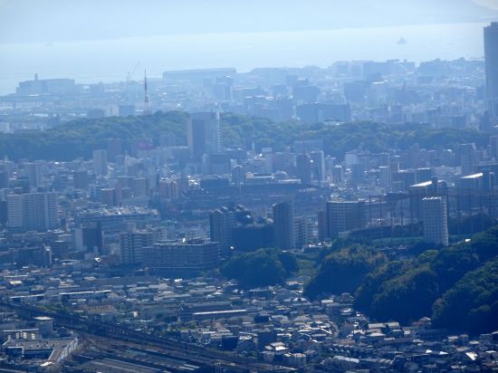 マツダスタジアム