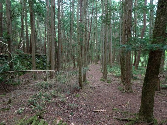 土木課(劇場)と山林課