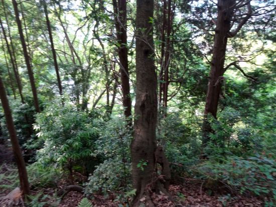 別子銅山記念館