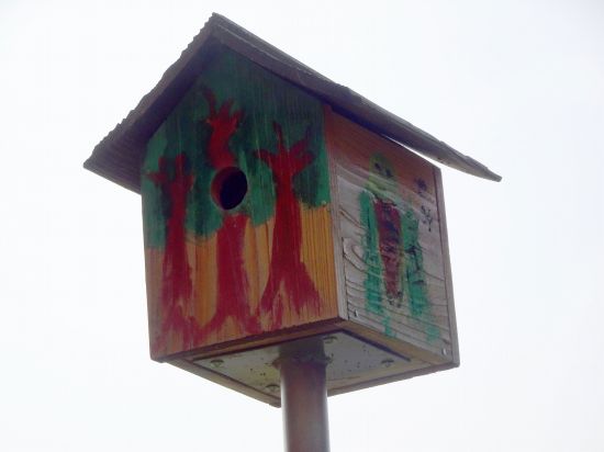 西村キャンプ場