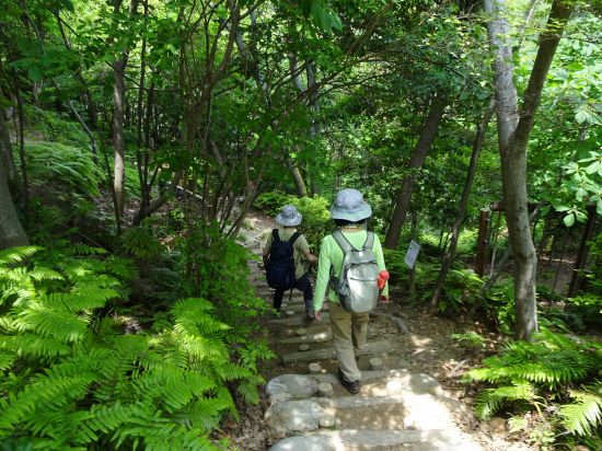 三滝少年自然の家