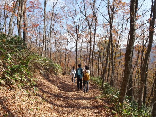 快適！林間コース