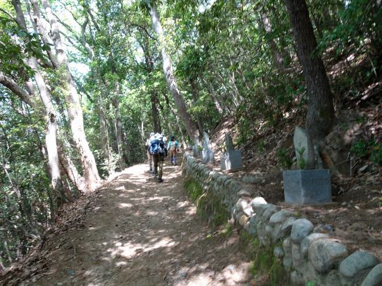 四国八十八ヶ所