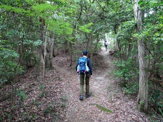 ショートカット