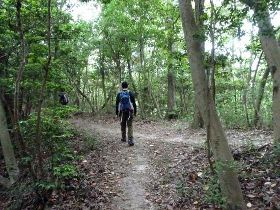 ショートカット