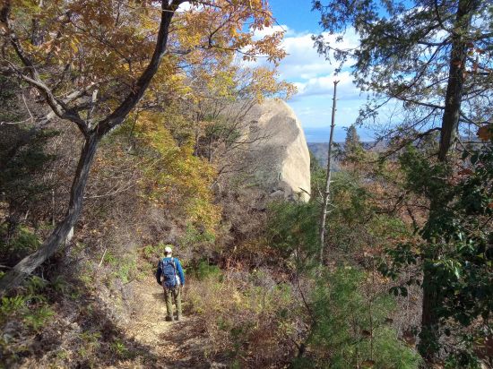 岩山コース